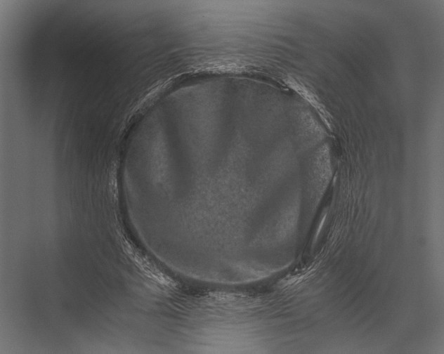 X0000076070681200610061603