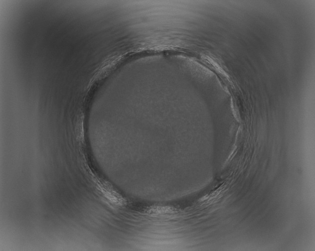 X0000076070685200610061602