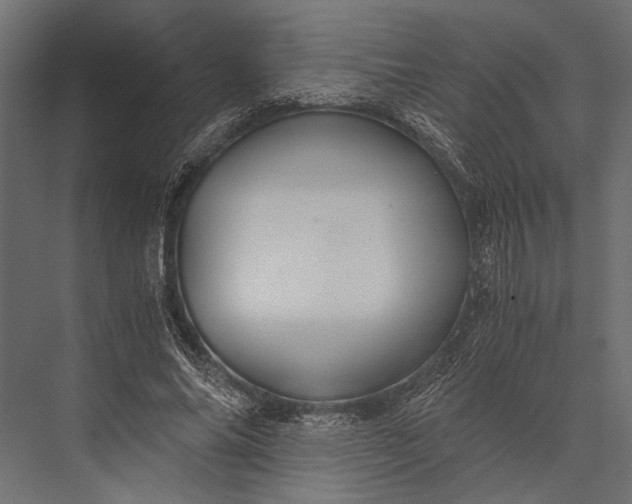 X0000076070686200610061602