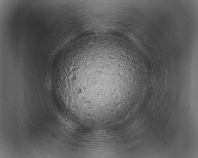 X0000076070687200610061602