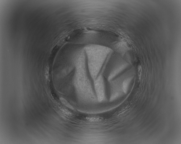 X0000076070693200610061602