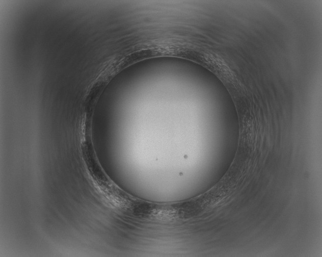 X0000076070694200610061602