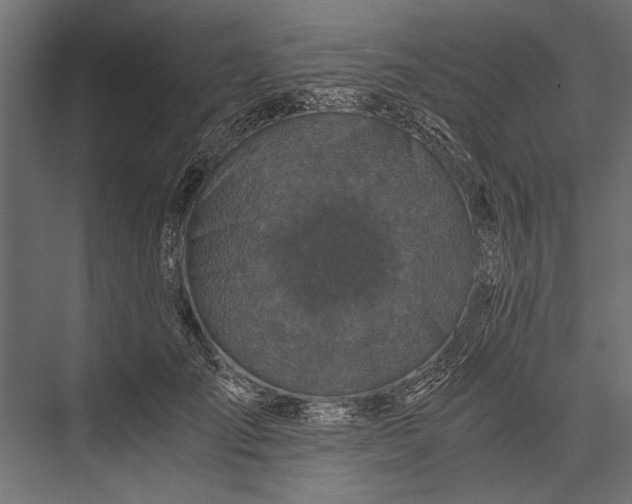 X0000076070701200610061602