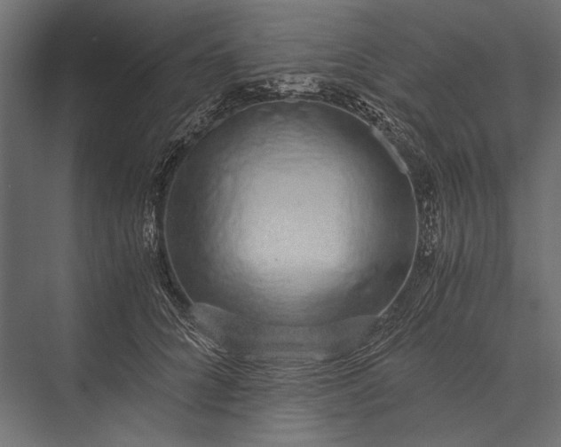 X0000076070704200610061602