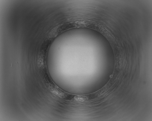X0000076070706200610061602