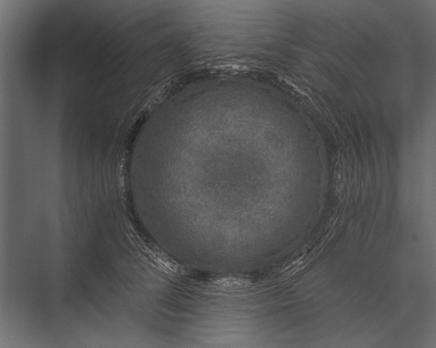 X0000076070708200610061602