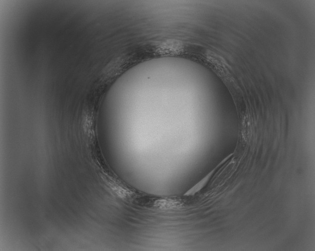 X0000076070714200610061602