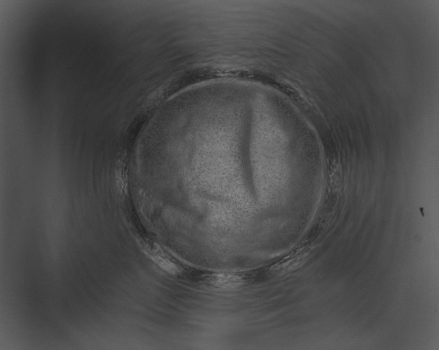 X0000076070719200610061602
