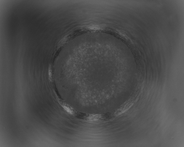 X0000076070720200610061602