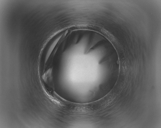 X0000076070728200610061601