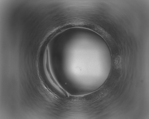 X0000076070732200610061601