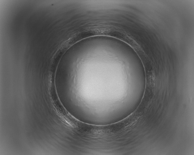 X0000076070733200610061601