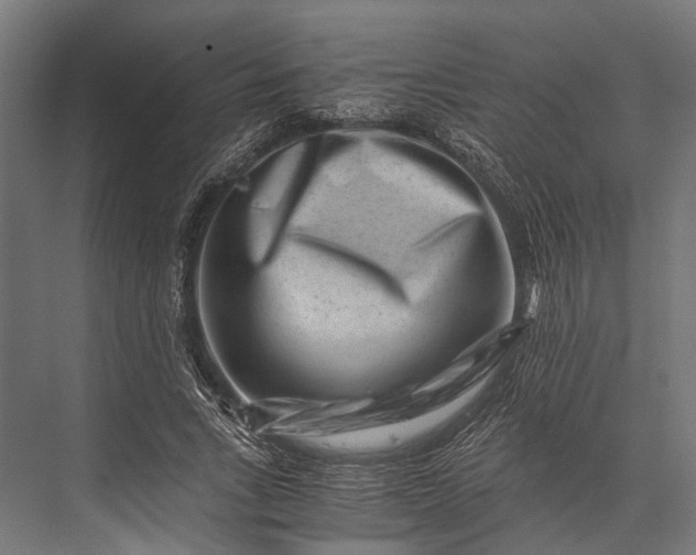 X0000076070735200610061601