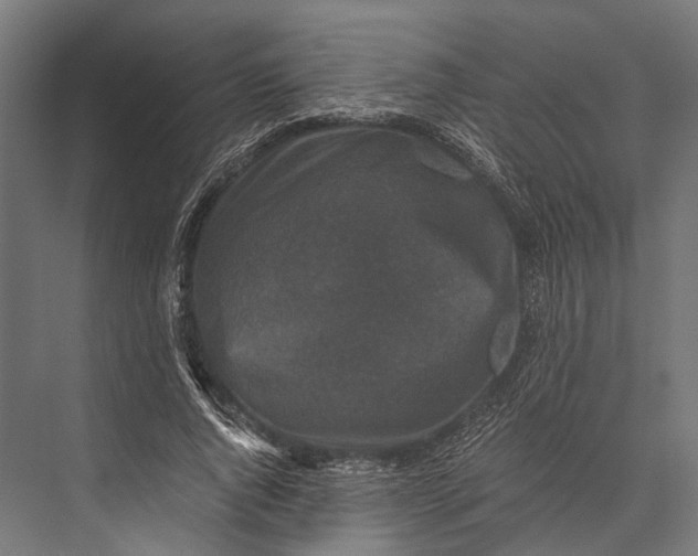 X0000076070736200610061601