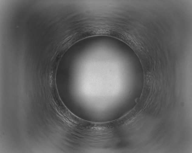 X0000076070741200610061601