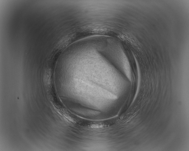 X0000076070744200610061601