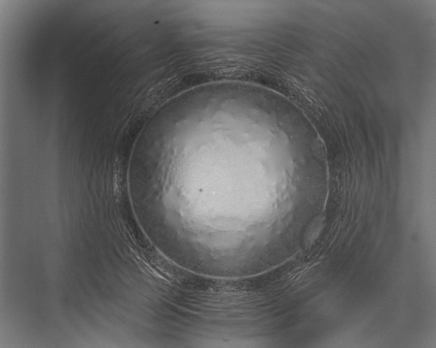 X0000076070745200610061601