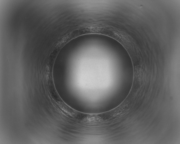 X0000076070752200610061602