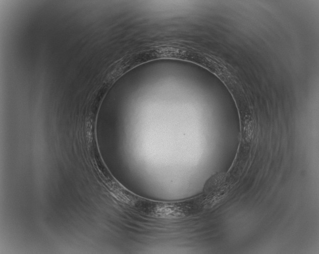 X0000076070753200610061602