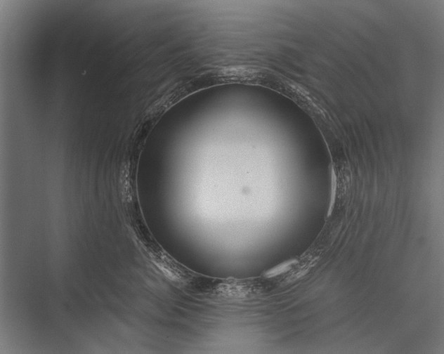 X0000076070764200610061602