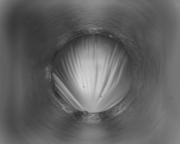 X0000076070768200610061602