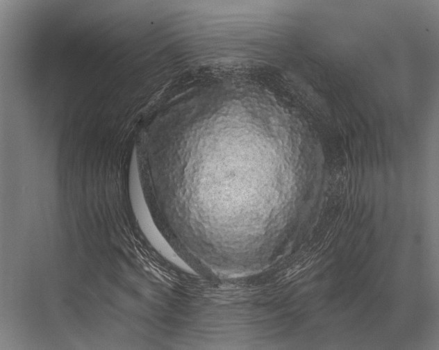 X0000076070772200610061601