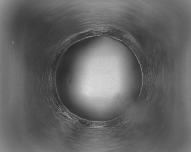 X0000076070773200610061601
