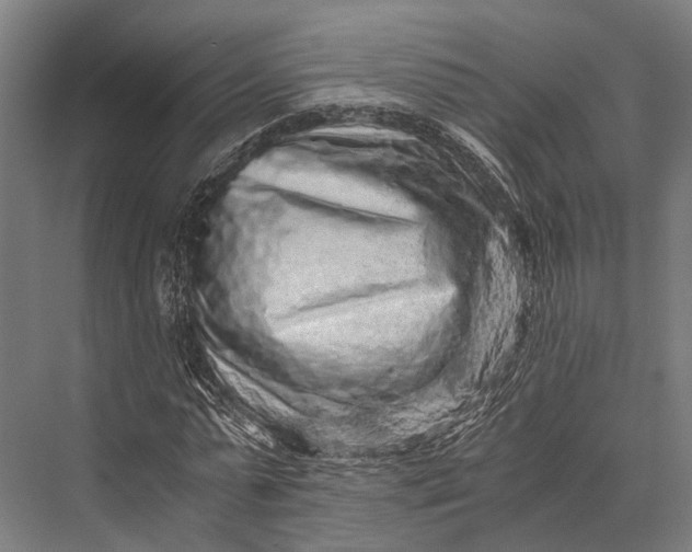 X0000076070775200610061601