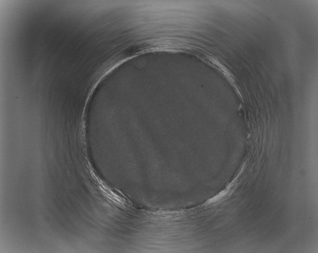 X0000076070779200610061601