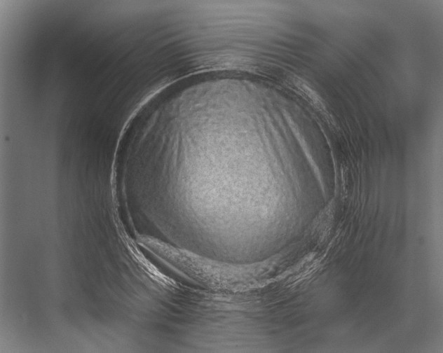 X0000076070780200610061601