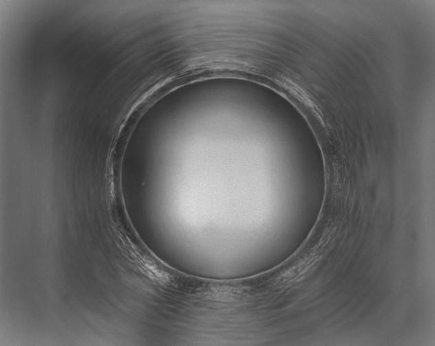 X0000076070782200610061601