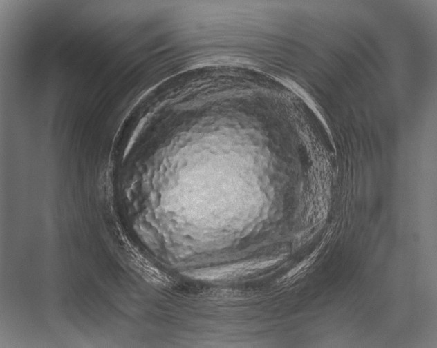 X0000076070783200610061601
