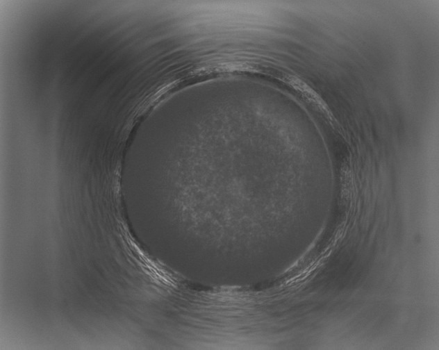 X0000076070785200610061601