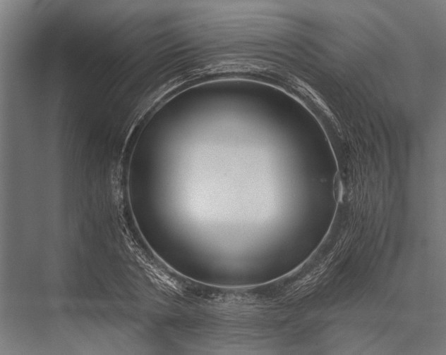 X0000076070786200610061601