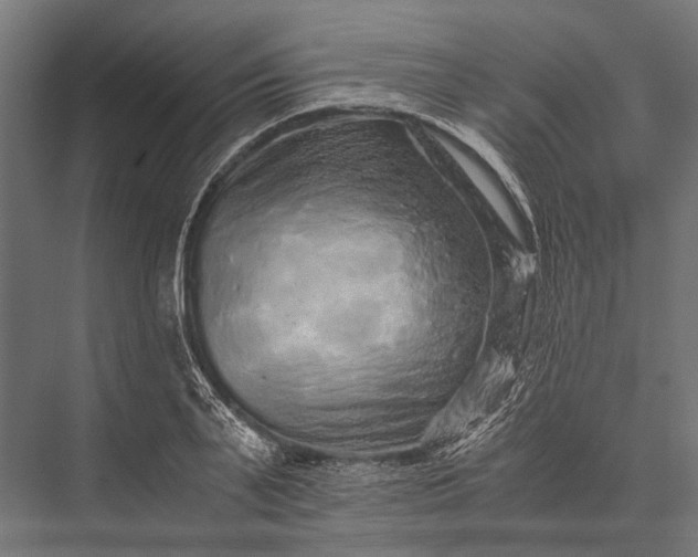 X0000076070791200610061601