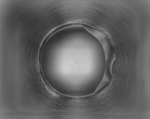 X0000076070792200610061601