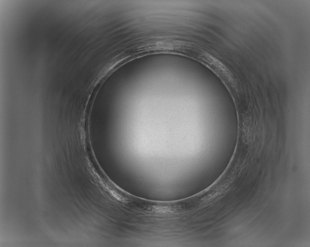 X0000076070794200610061601