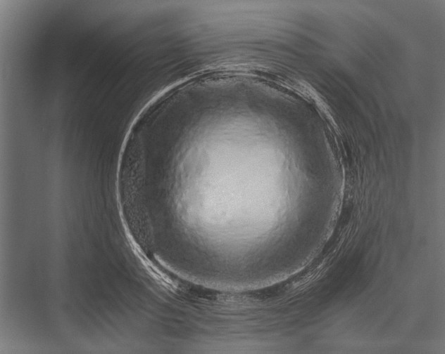 X0000076070795200610061601