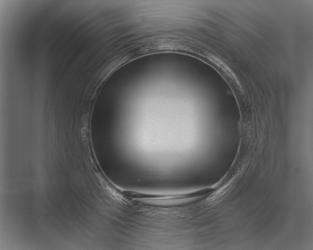 X0000076070801200610061600