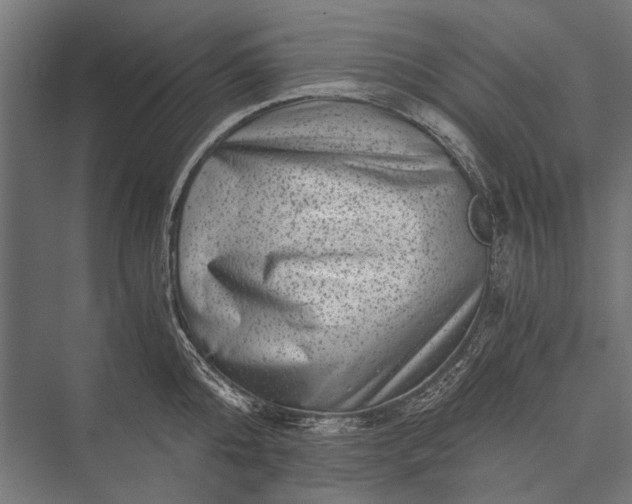 X0000076070808200610061600