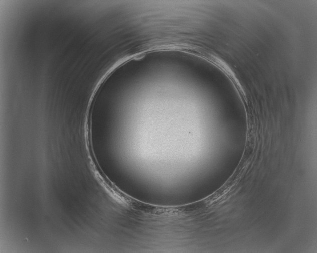 X0000076070811200610061600