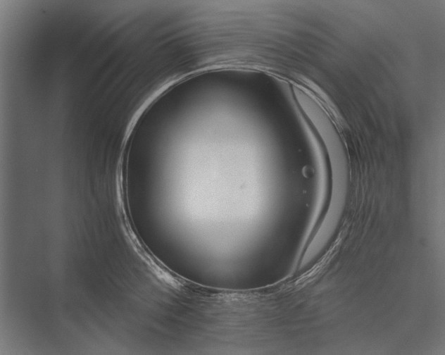 X0000076070812200610061600