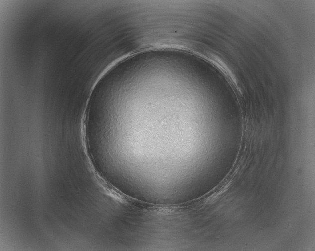 X0000076070814200610061600