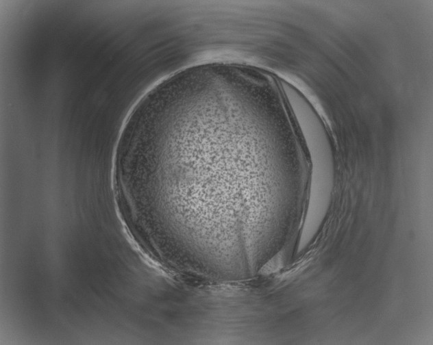 X0000076070815200610061600