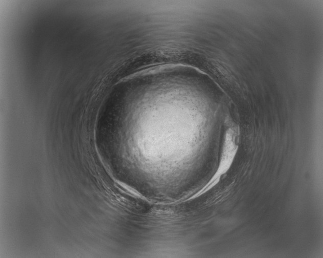 X0000076070817200610061559