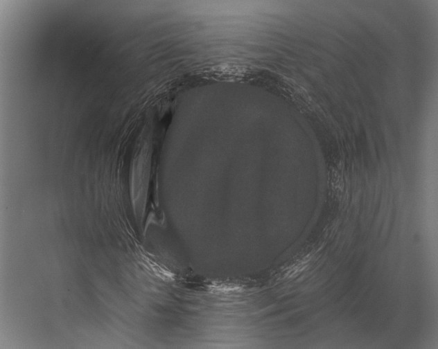 X0000076070818200610061559