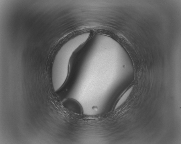 X0000076070822200610061559