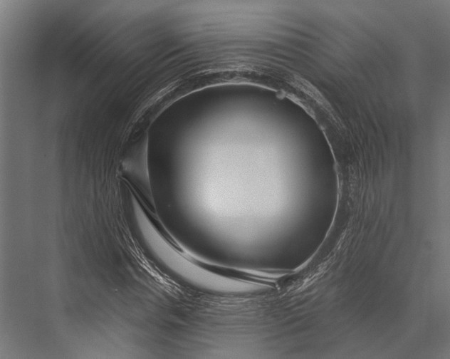 X0000076070826200610061600