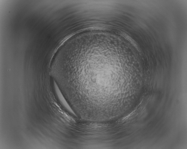 X0000076070829200610061600