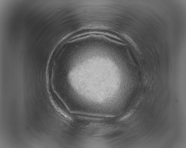 X0000076070840200610061600